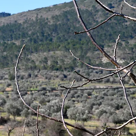 Casa Raposas Casa de Campo *
