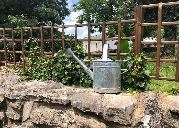 カントリーハウス Casa Raposas Zambujal (Coimbra)