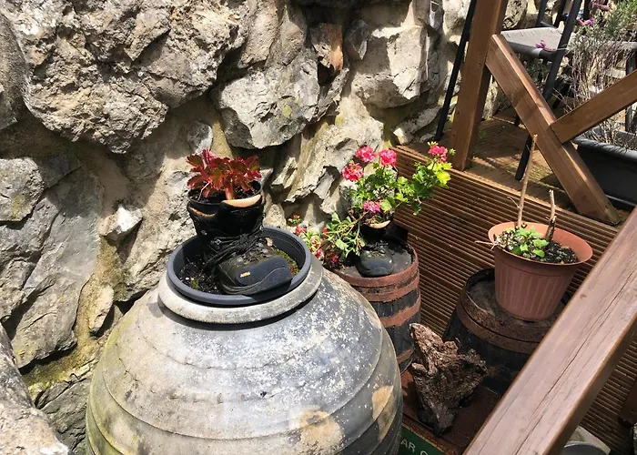 カントリーハウス Casa Raposas *