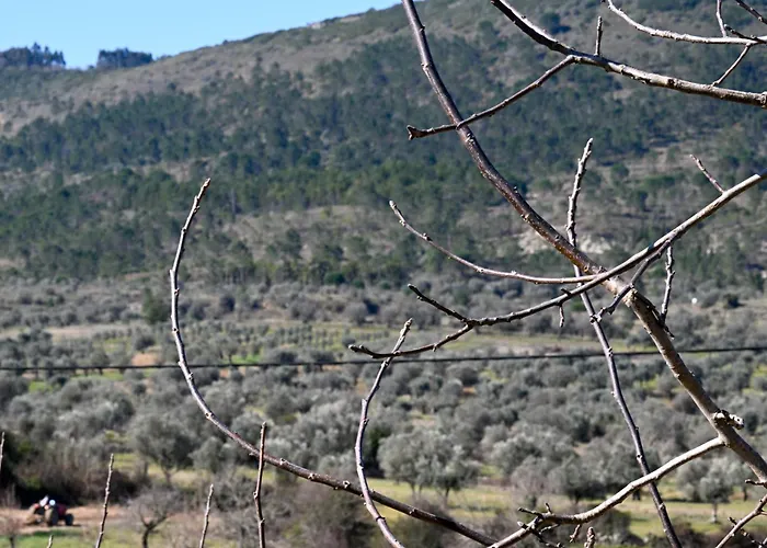 Casa Raposas カントリーハウス *